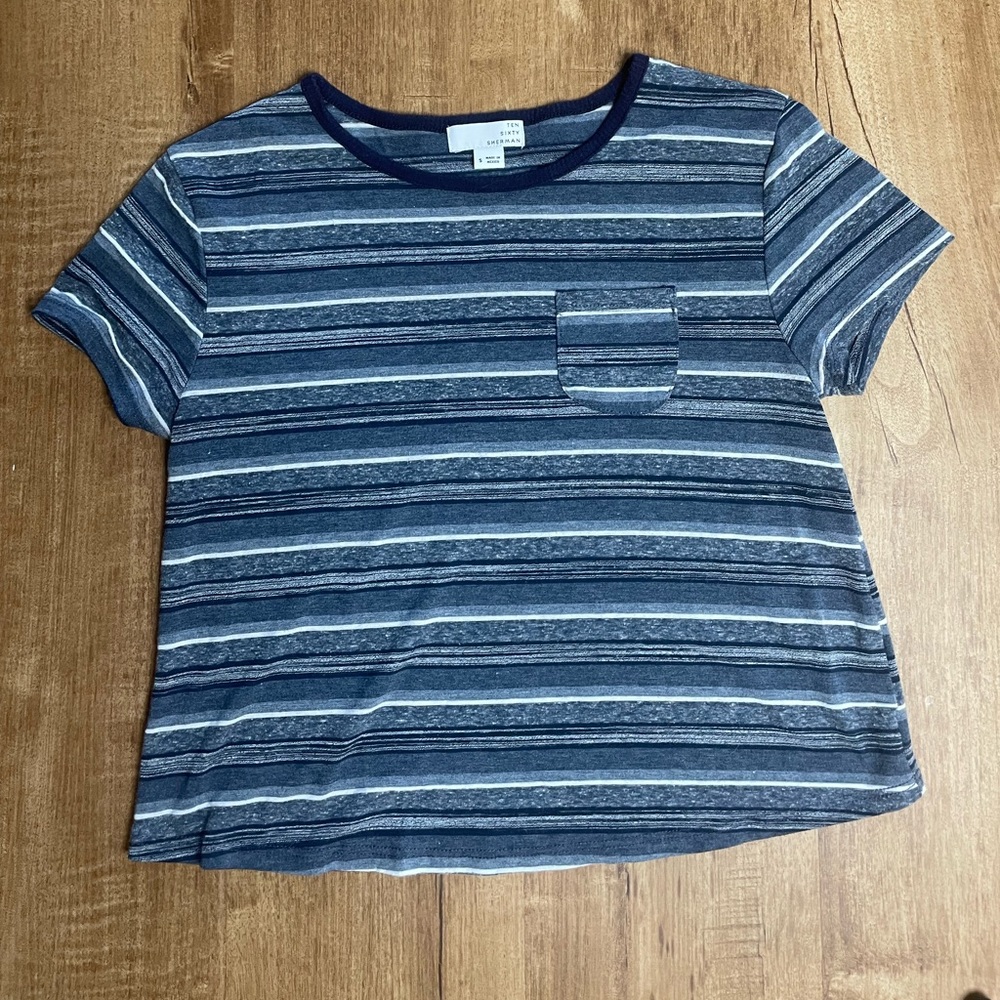 Ten Sixty Sherman Blue and White Striped Crop Top